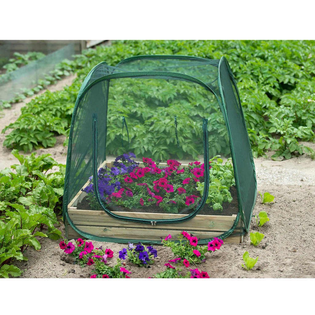 Nature Serre Pop Up 6020409