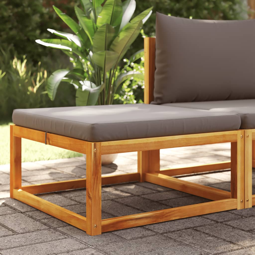 Canapé De Jardin Sans Accoudoirs Coussins Bois Massif D'acacia
