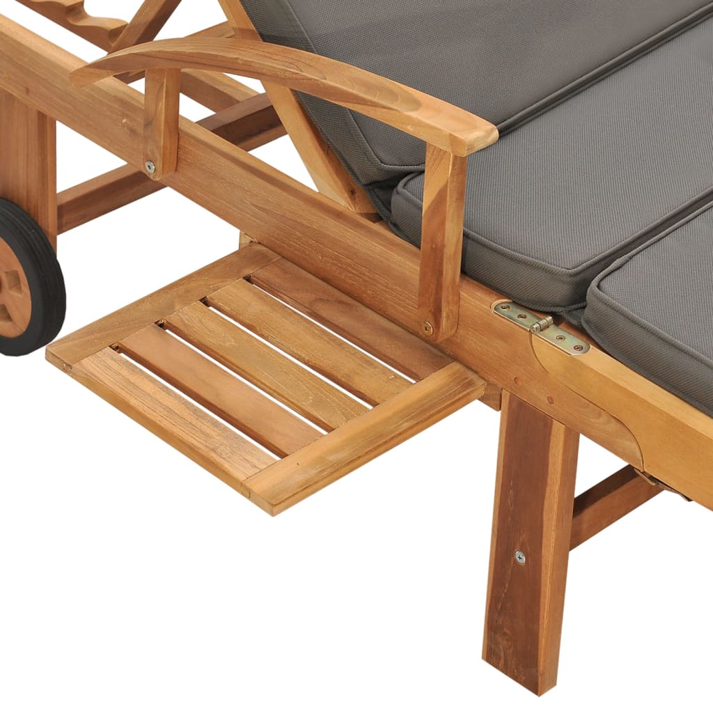 Chaise Longue Avec Coussin Bois De Teck Solide
