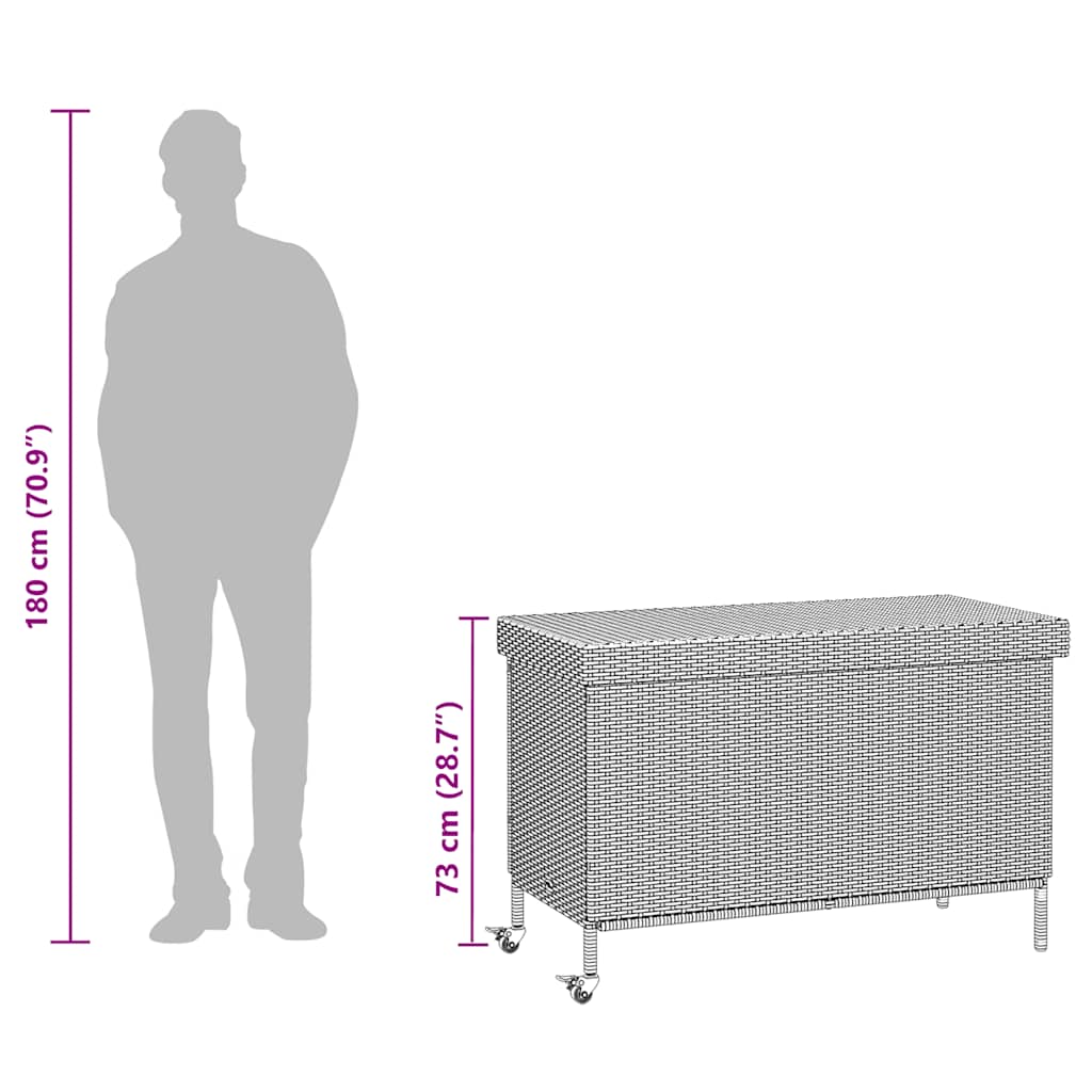 Boîte De Rangement De Jardin Et Roues Noir Résine Tressée